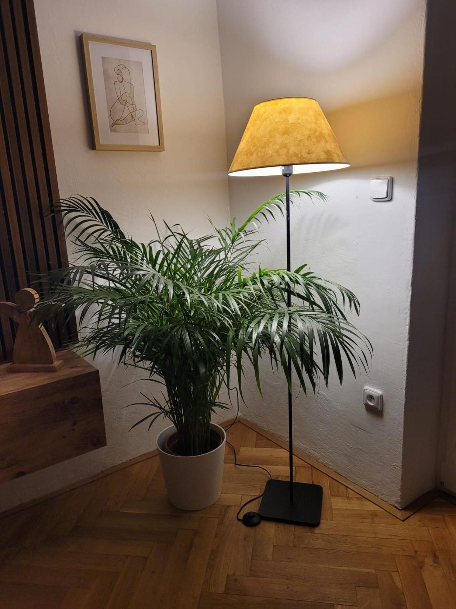 Jičín Novy Apartman Eva מראה חיצוני תמונה