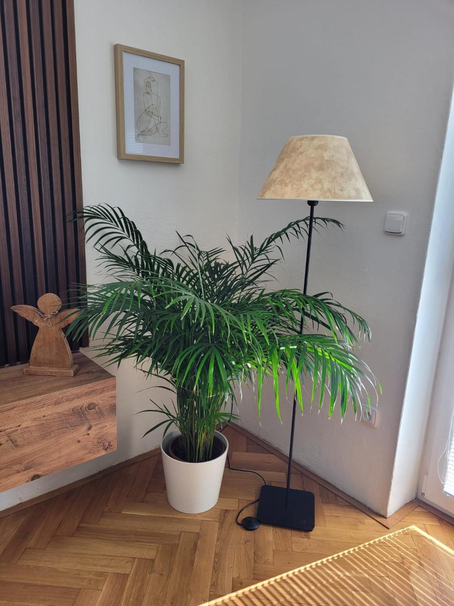 Jičín Novy Apartman Eva מראה חיצוני תמונה